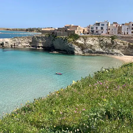 Fiori D'arancio Terrasini