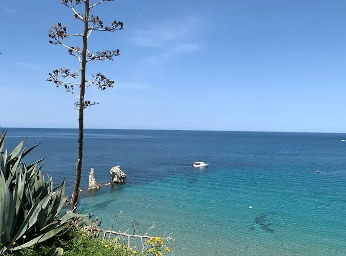 Fiori D'arancio 泰拉西尼