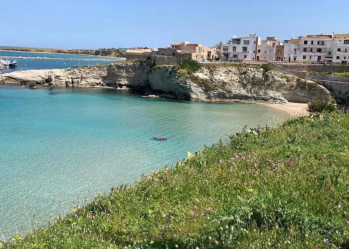 Fiori D'arancio 泰拉西尼