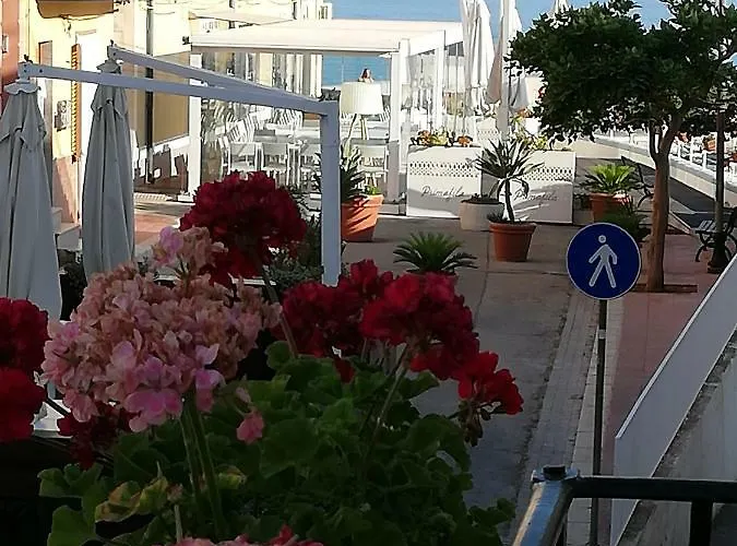 Fiori D'arancio * 泰拉西尼