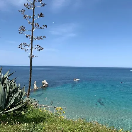 Fiori D'arancio טראסיני