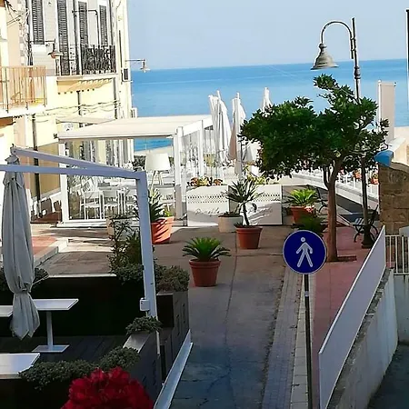 Fiori D'arancio *